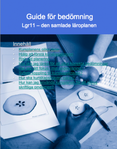 Guide för bedömning Lgr11