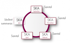 SKAhjul