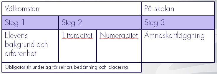 kartläggning