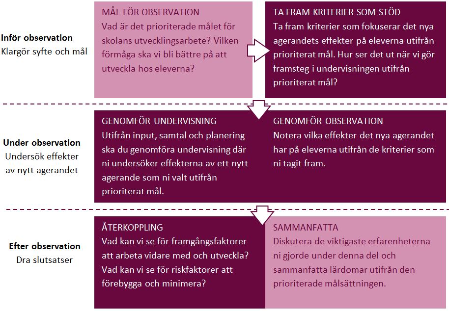 Klicka för att förstora bilden