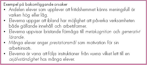 bakomorsakerfritids