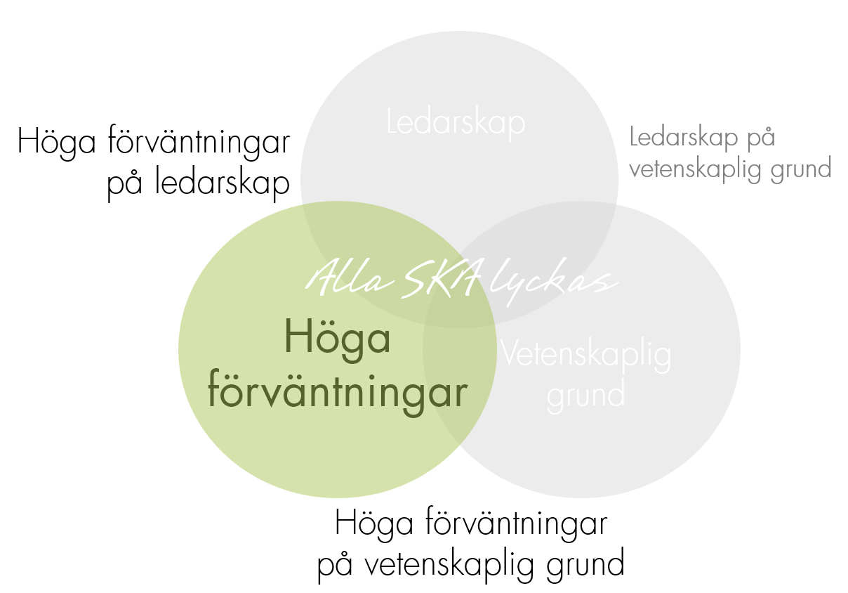 Höga förväntningar