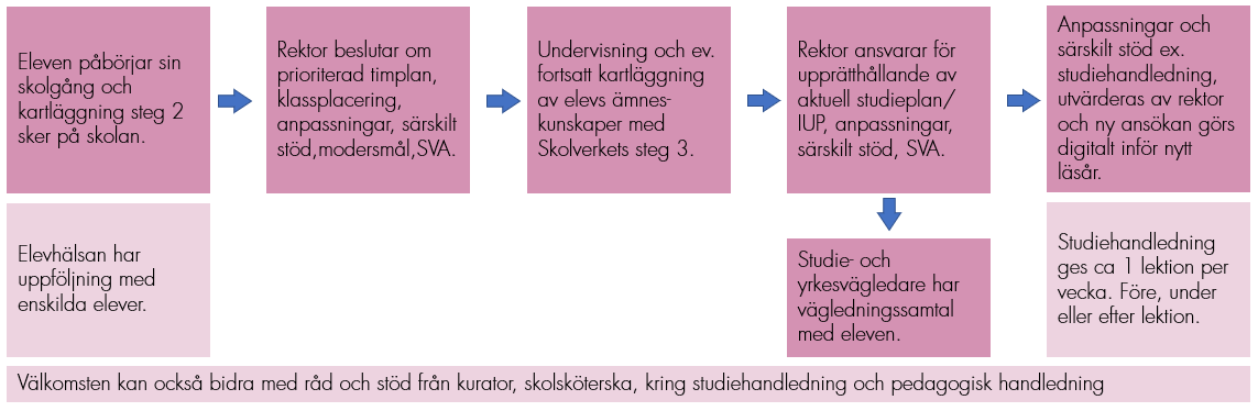 Ansvarsfördelning nyanlända elever