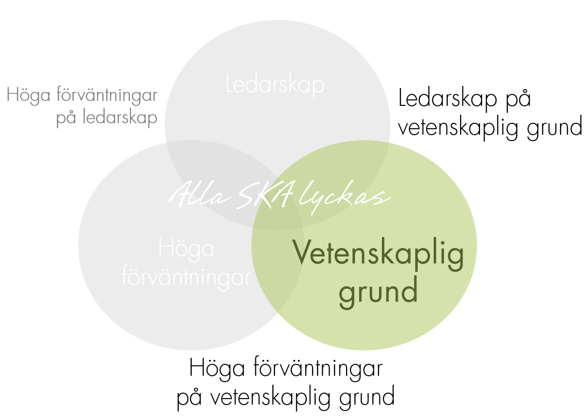 Vetenskaplig grund