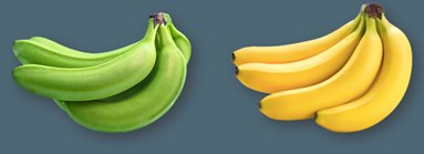bananer