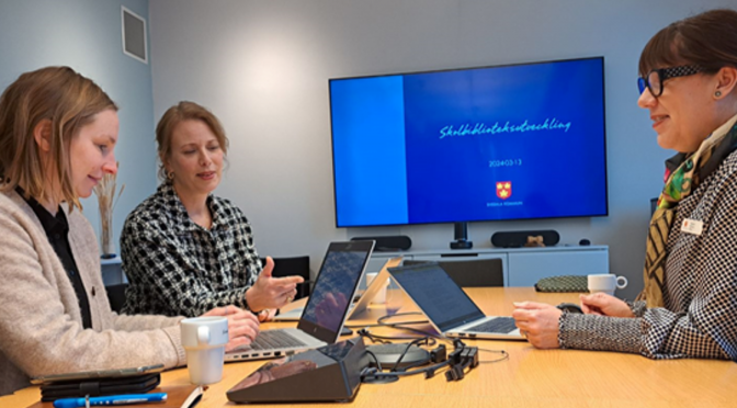 Vi gjorde tvärtom för att stärka våra skolbibliotek!